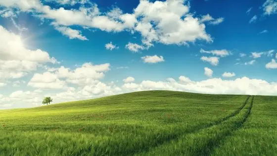 After 21 years, hackers broke the protection of Windows XP