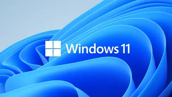 Photo: Windows 11